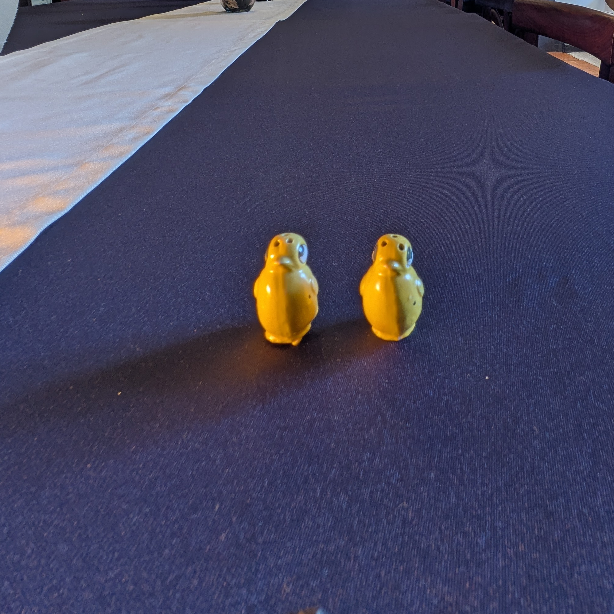 Rear view of the two yellow chick salt and pepper shakers.